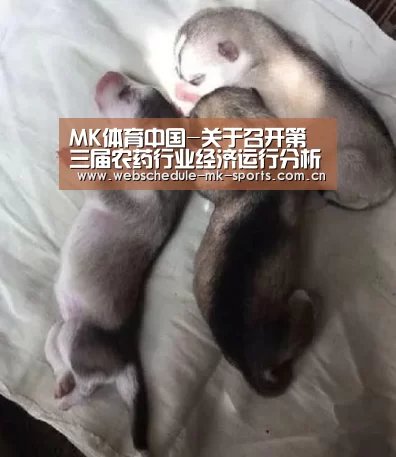 MK体育中国