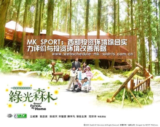 MK SPORT:西部投资环境综合实力评价与投资环境改善策略(图3) MK体育中国