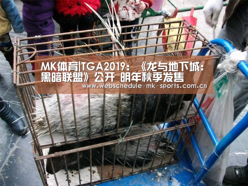 MK体育官网