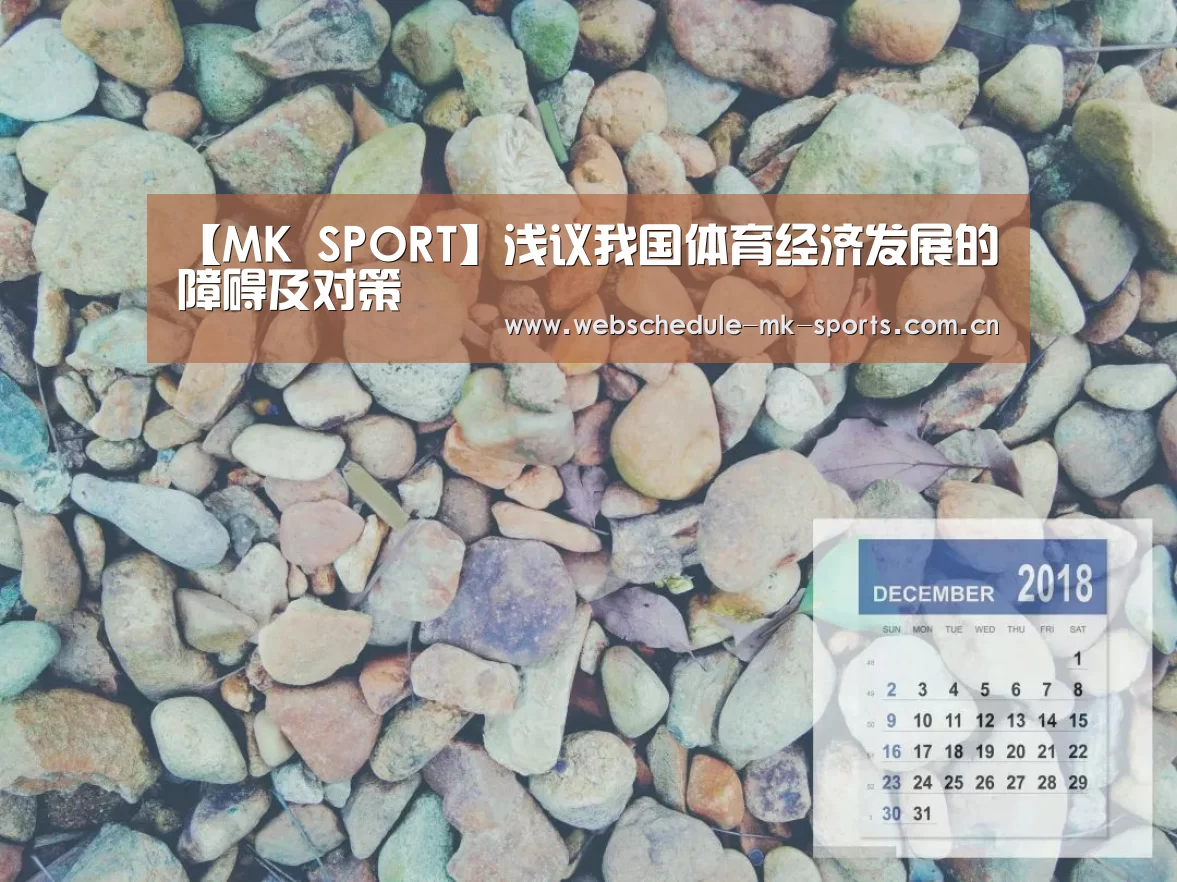 【MK SPORT】浅议我国体育经济发展的障碍及对策(图3) MK SPORT