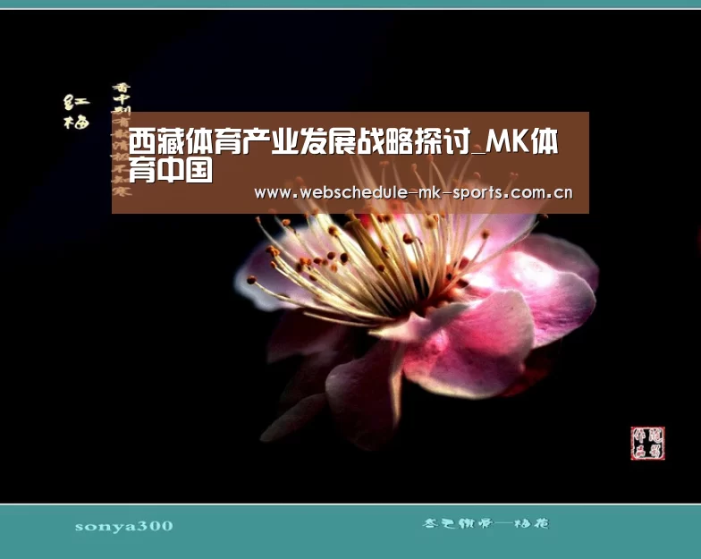 MK体育官网