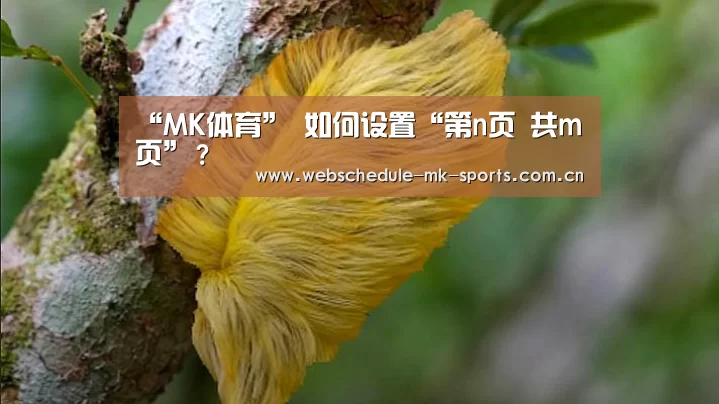 MK SPORT