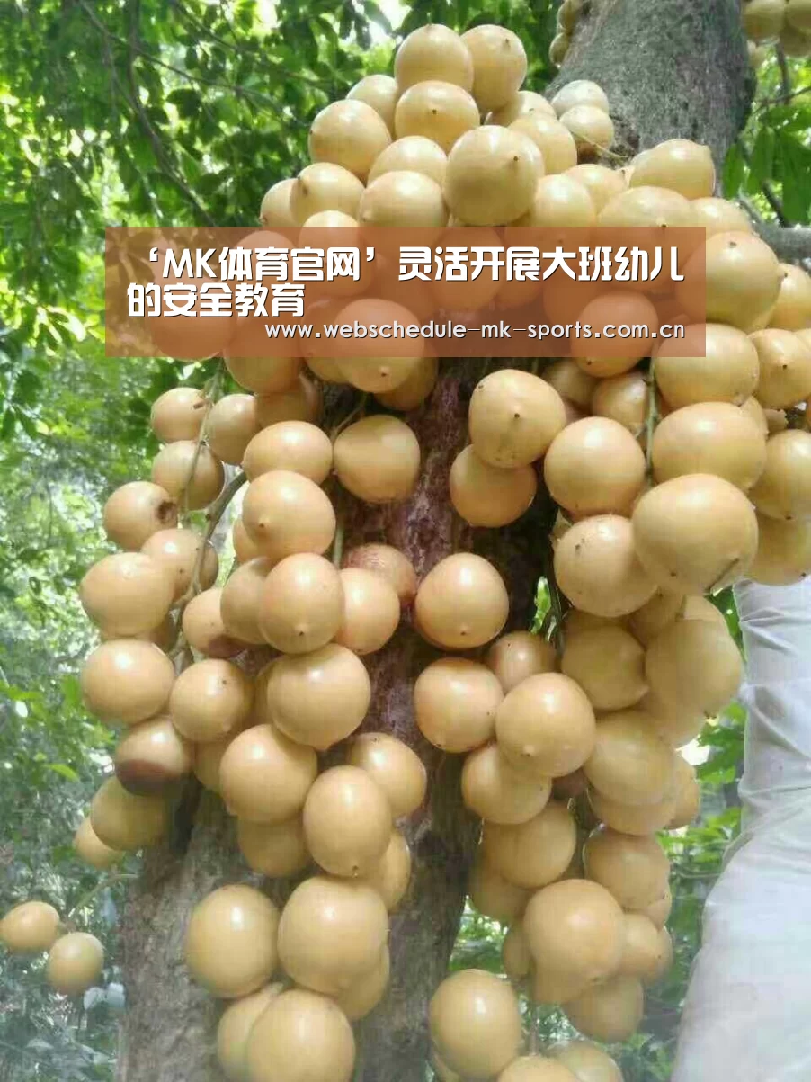 ‘MK体育官网’灵活开展大班幼儿的安全教育(图4) MK SPORT