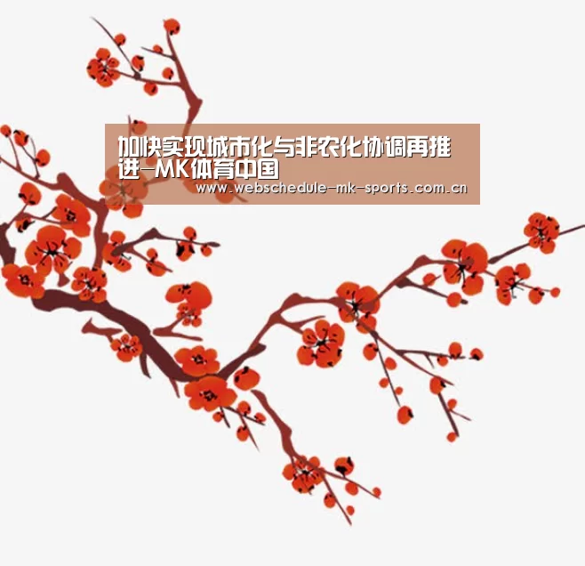 加快实现城市化与非农化协调再推进-MK体育中国(图3) MK体育中国