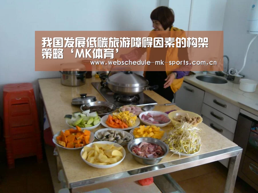我国发展低碳旅游障碍因素的构架策略‘MK体育’(图2) MK体育