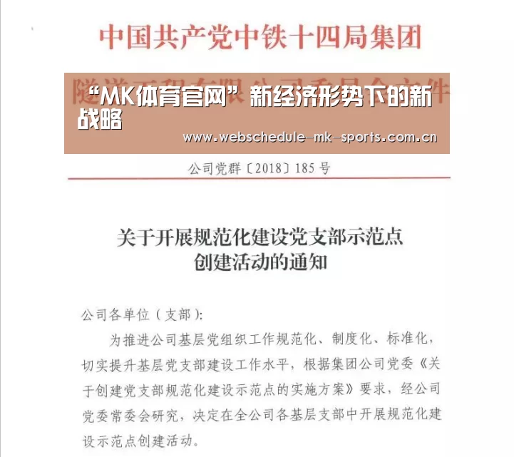 “MK体育官网”新经济形势下的新战略(图1) MK体育官网