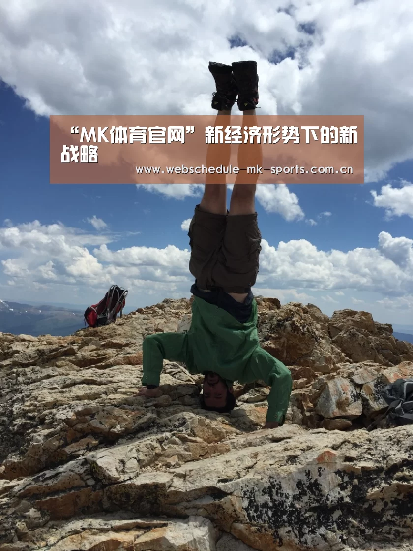 “MK体育官网”新经济形势下的新战略(图2) MK SPORT