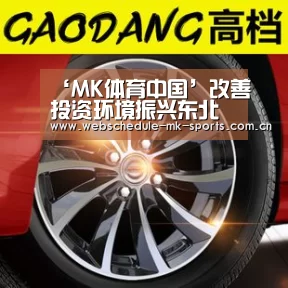 ‘MK体育中国’改善投资环境振兴东北老工业基地(图2) MK体育中国
